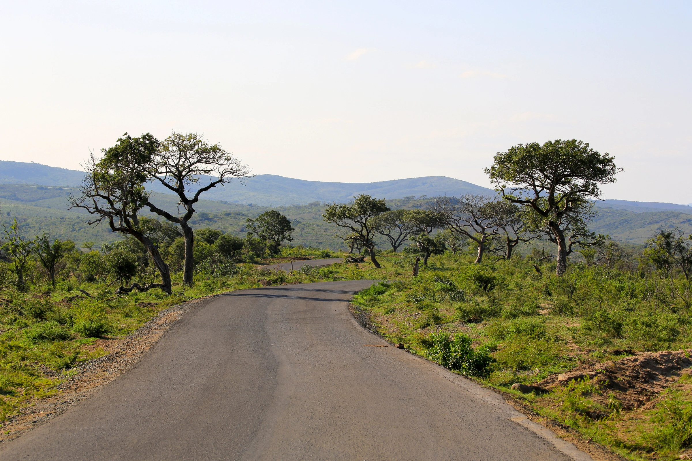 Hluhluwe[1].webp